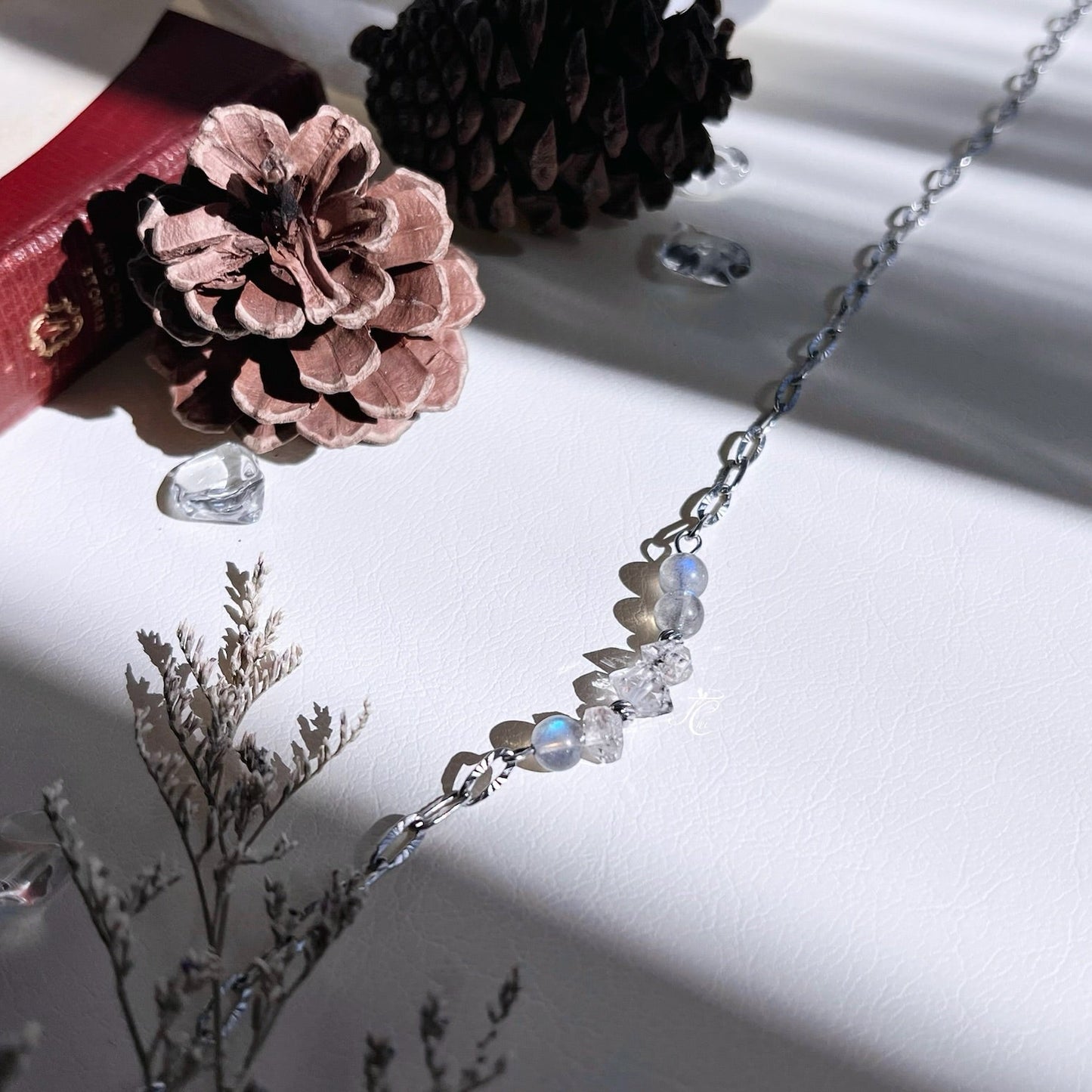 奔向蔚藍色的海月光